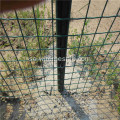 Grön PVC-belagd Galvaniserad Svetsad Wire Mesh Fence